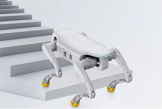AGIBOT D1 EDU Programmable AI Robot for STEM Learning
