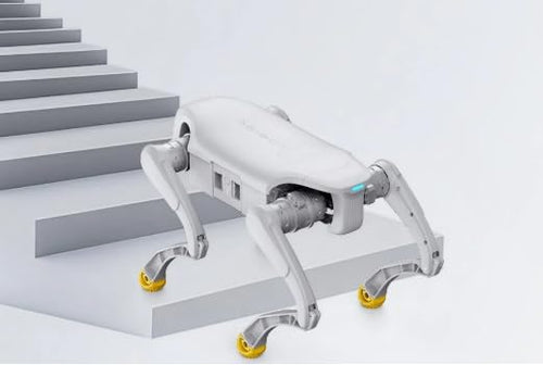 AGIBOT D1 EDU Programmable AI Robot for STEM Learning