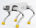 AGIBOT D1 EDU Programmable AI Robot for STEM Learning
