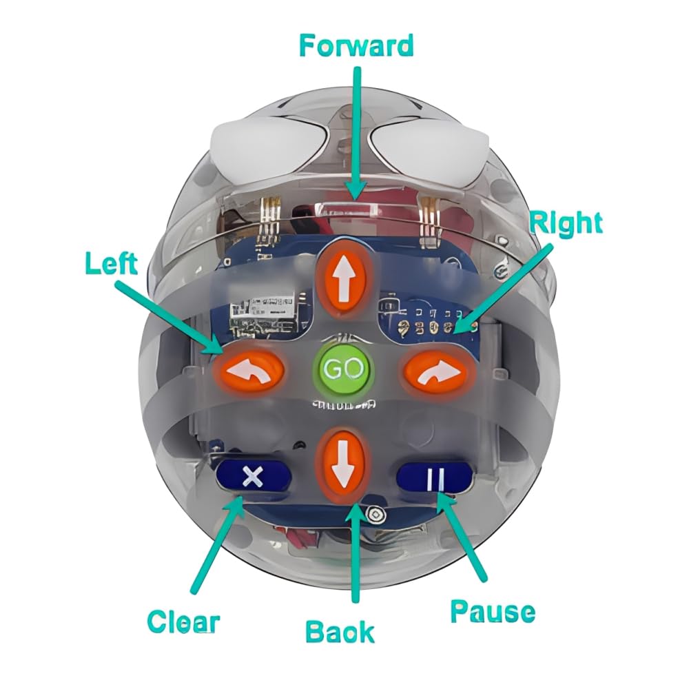 See & Say Blue-Bot Coding and Directional Learning Tool