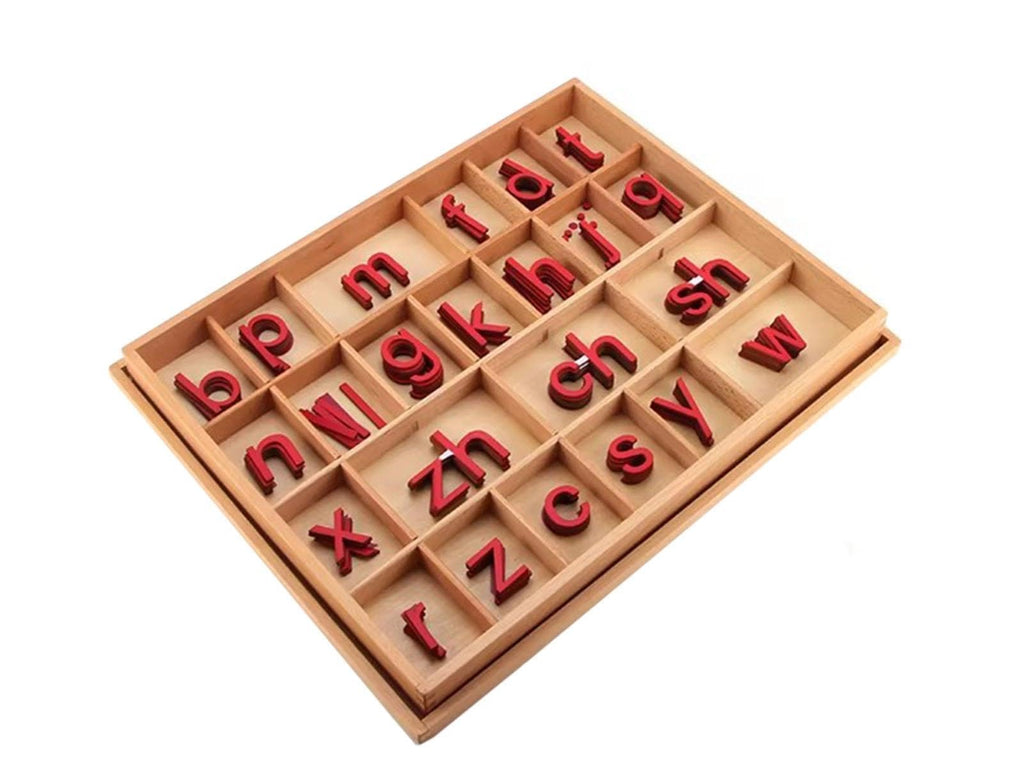 BANGYUA Montessori Wooden Movable Alphabet Learning Set