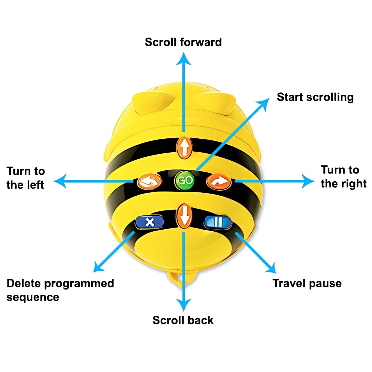 100-Piece See & Say Bee-Bot Coding Robot Classroom Set