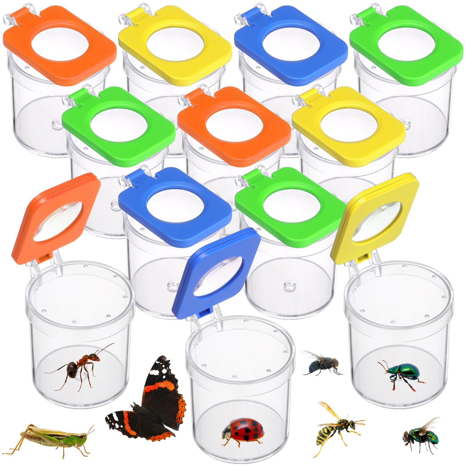 Halloscume Insect Bug Viewer and Catcher Kit for Kids