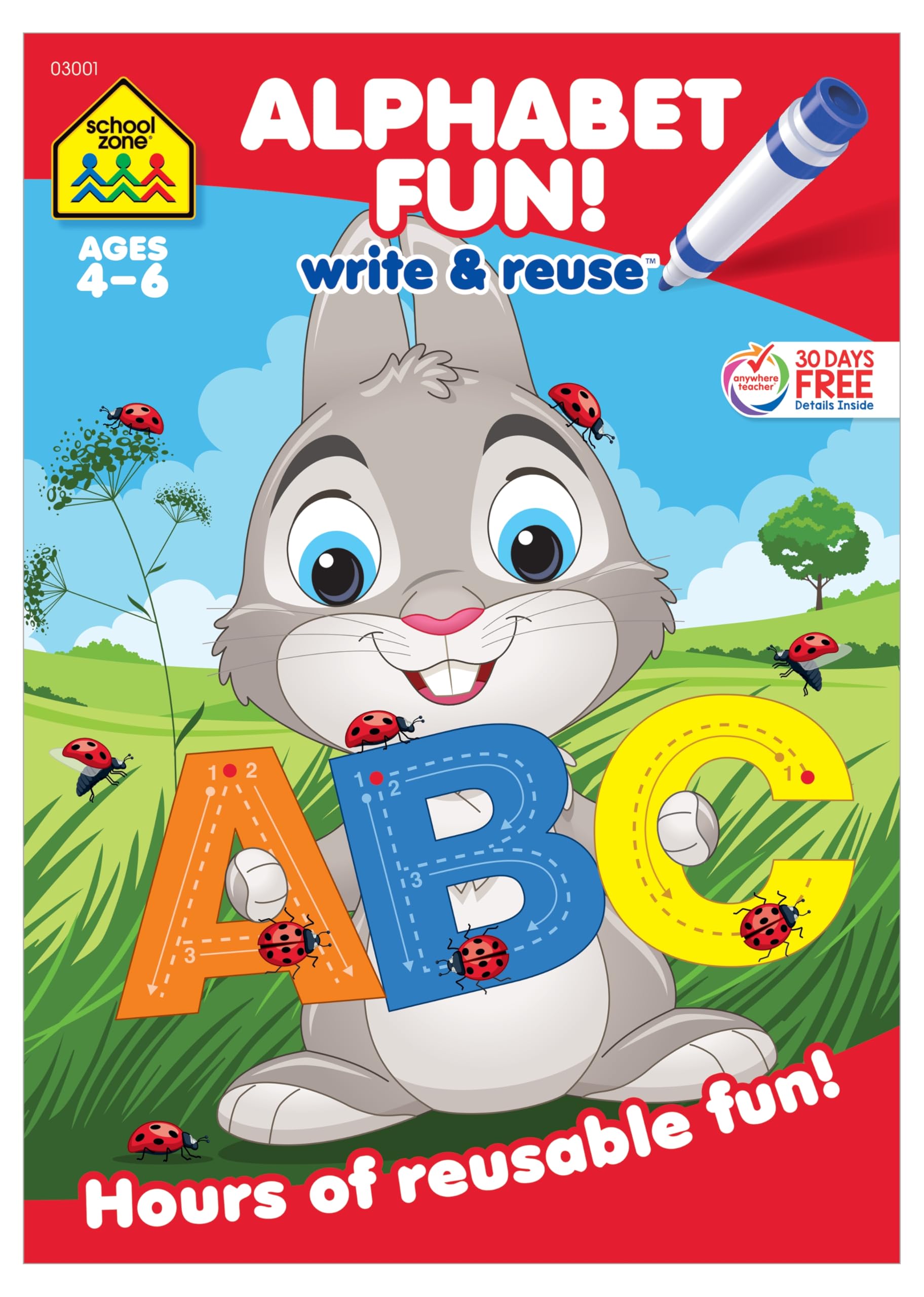 School Zone Alphabet Fun Write-and-Reuse Workbook